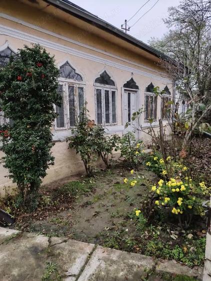 Casa batraneasca de vanzare - 8