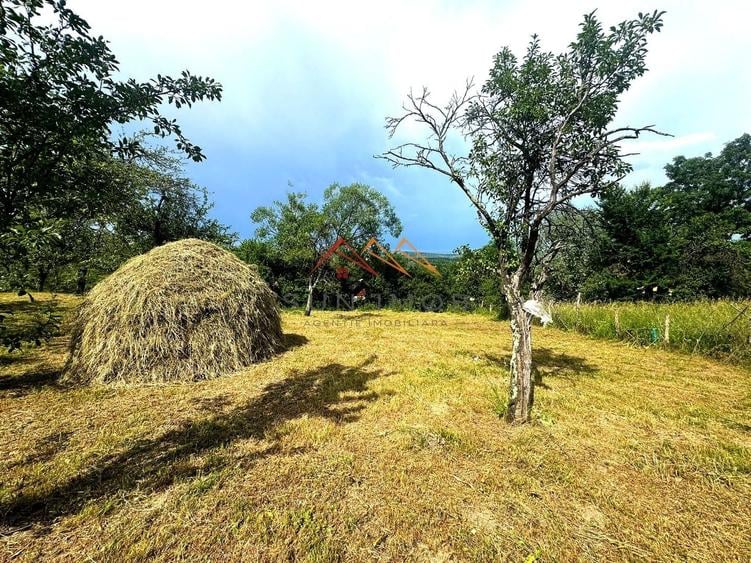 Teren 2037 mp, 17 ml deschidere, 28 euro/m2, vedere panoramica - 7