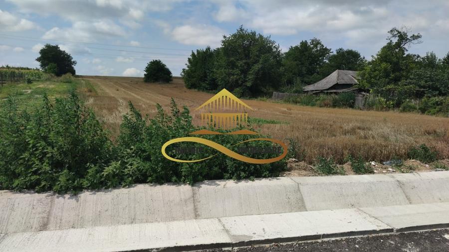 Teren intravilan 5400 mp de vanzare Filipesti / Bacau - 2