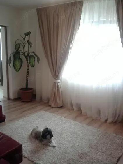 Casa + Garaj cu teren in ora? de vanzare - 4
