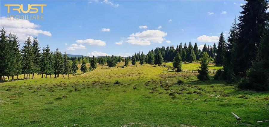 Oportunitare | Teren 1ha cu PUZ | Belis - 1