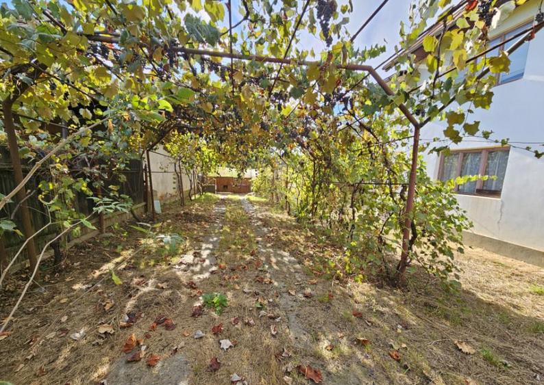 Casa P+1, comuna Dane?ti, 10 km distan?a de Tg. Jiu - 3