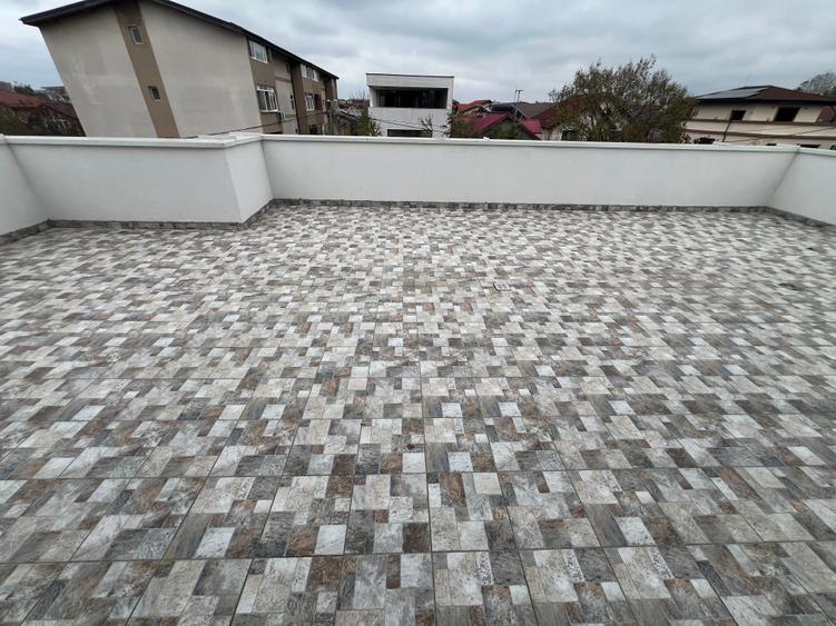 Dimitrie Leonida Metrou - 6