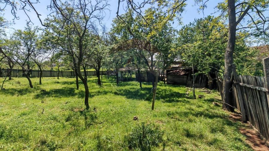 Tere cu constructie de vanzare in Urlati - 10