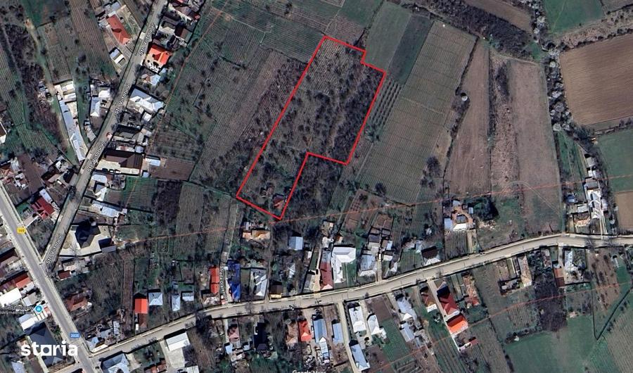 Teren intravilan 8.759 mp cu casa + vie | Utilitati complete - 8