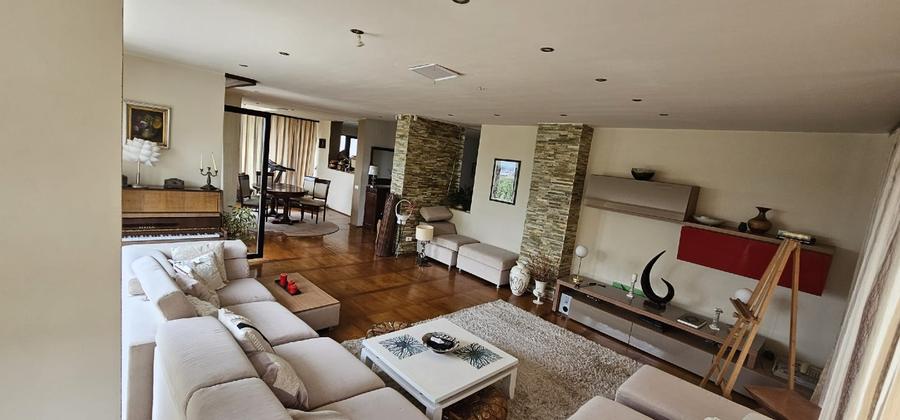 Casa individuala, 7 camere, 5 bai, 5 parcari,curte, rooftop- Europa - 10