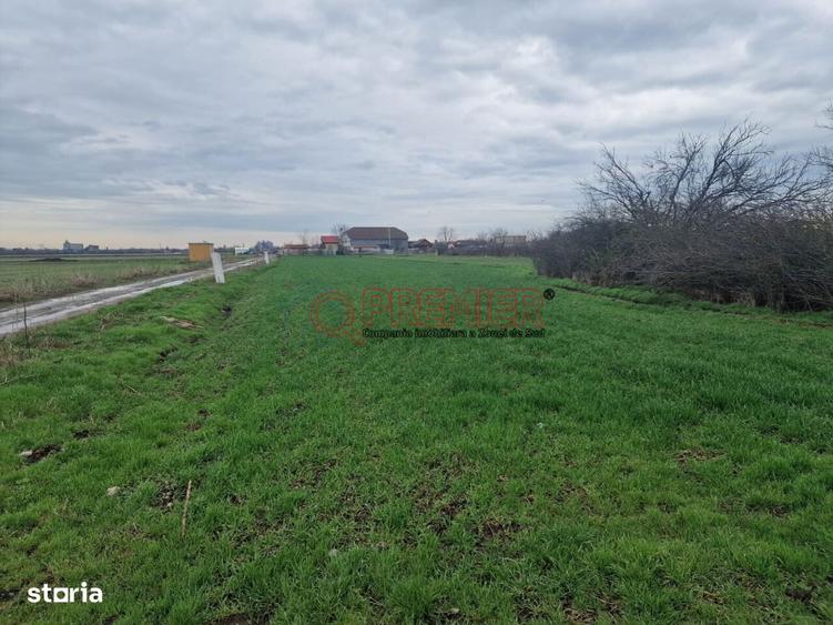 Teren Fundulea 1000 mp | 25 min Bucuresti | Deschidere 55m - 6