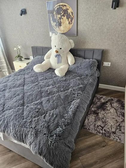 Garsoniera de inchiriat in zona Zorilor-UMF - 1