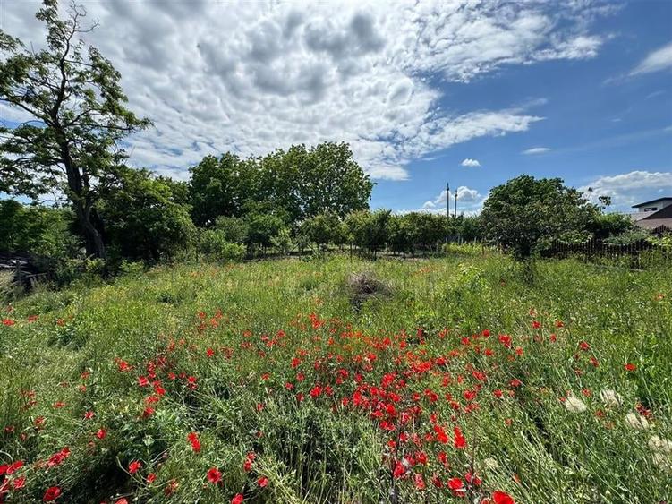 Teren intravilan 390mp, str Mugur nr 26B - Focsani 100 euro / mp - 5