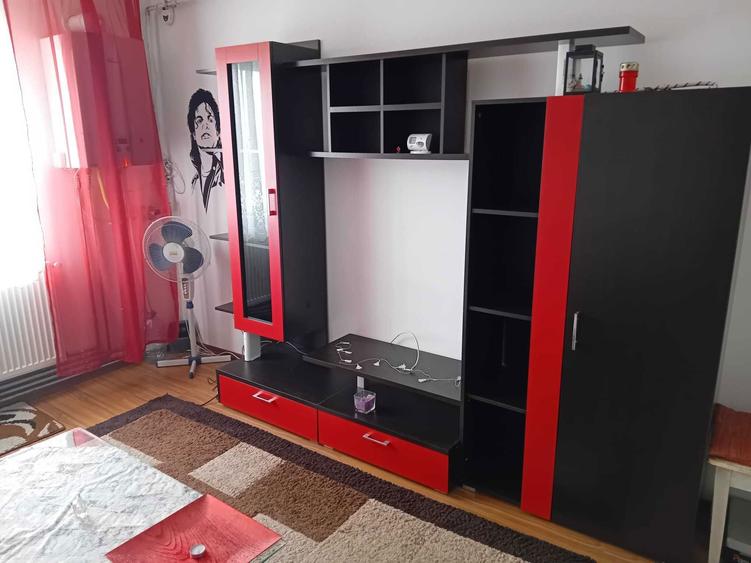 apartament 1 camera de inchiriat langa mall Calea Sagului - 8