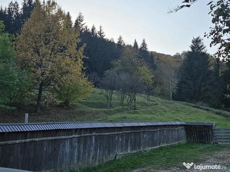 Casa de vanzare langa padure - 2