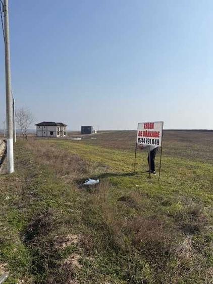 Teren Intravilan Pielesti, 7274mp - 5