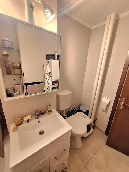 Nufarul, langa Lotus-2 camere,et.1, mobilat - 3