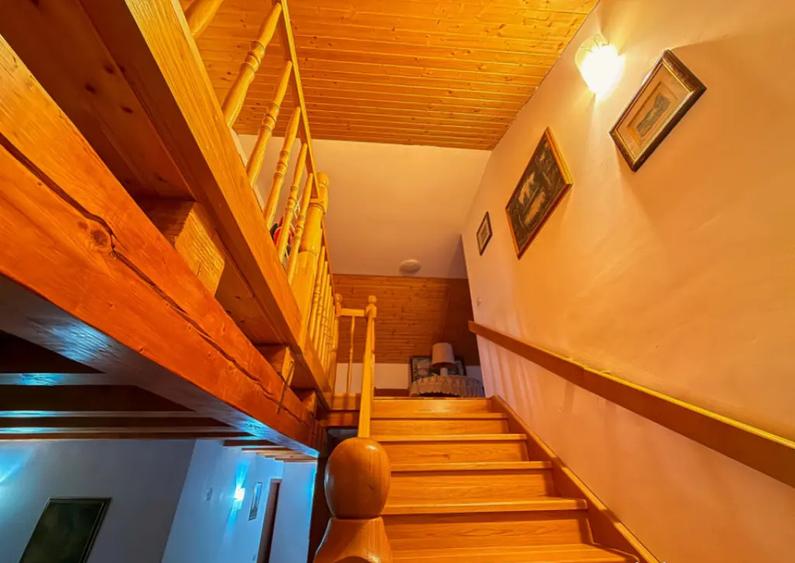 Vila ta in mijlocul naturii | Vadurele, zona superba - 3