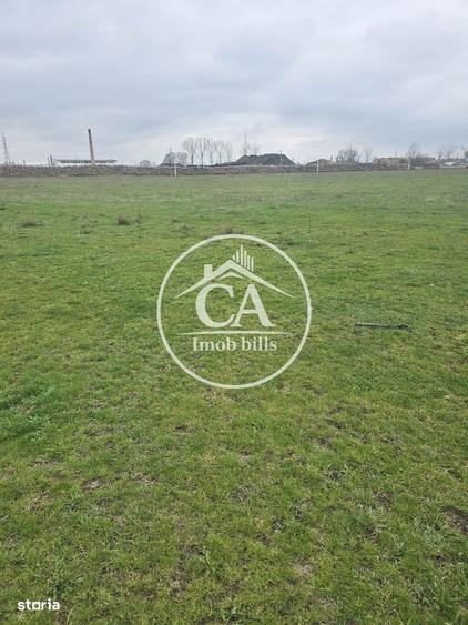 Teren extravilan 150.000 mp de vanzare in Tileagd, Bihor - 3