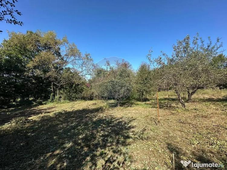 TEREN intravilan cu potential - 7