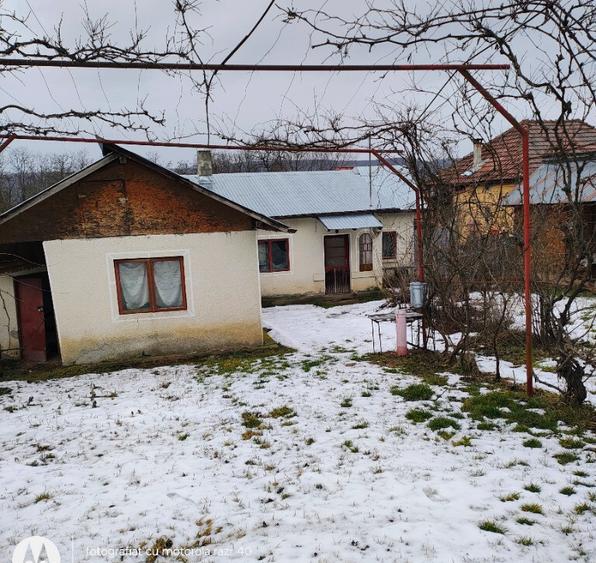 Teren 507mp cu casa batraneasca - 7