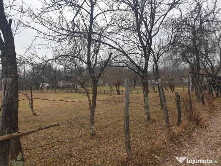Teren intravilan 2911mp - 6