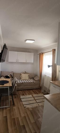 Vand Garsoniera Nufarul et 3 mobilata nou - 4