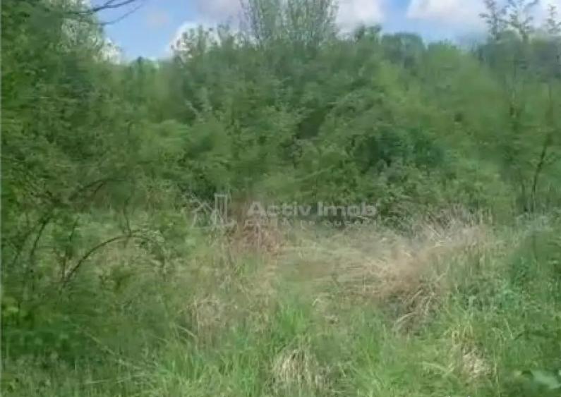 Teren intravilan 500 mp - Ganeasa - 1