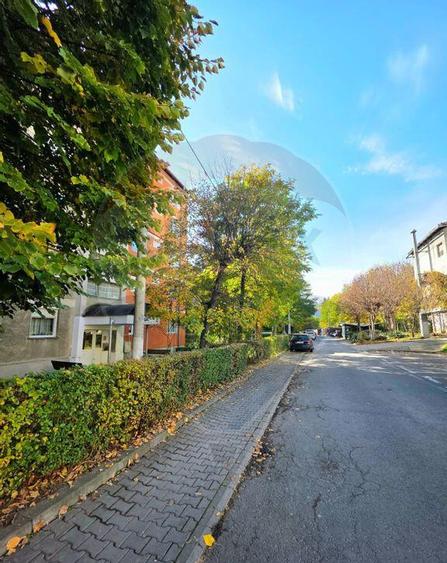 Apartament doua camere Gura Campului Medias - 2