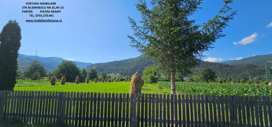 Teren intravilan Pangarati, 4400 mp - 4