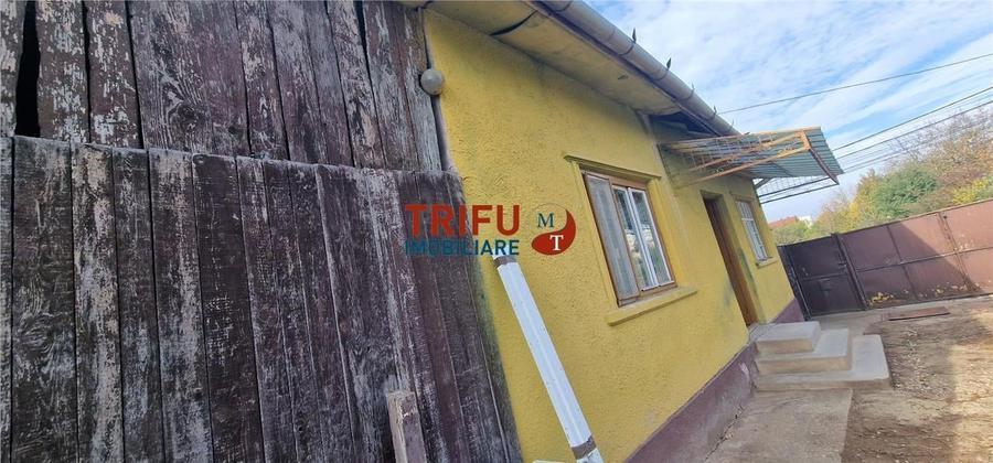 Casă de vânzare zona Cetate Schit 740 mp teren - 1