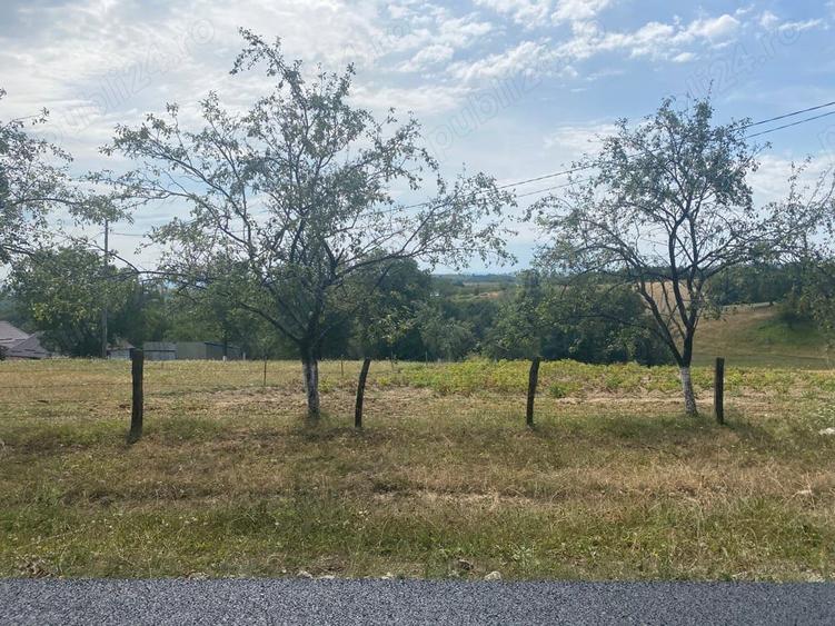 Casa Valea-tarnei sinteu - 3