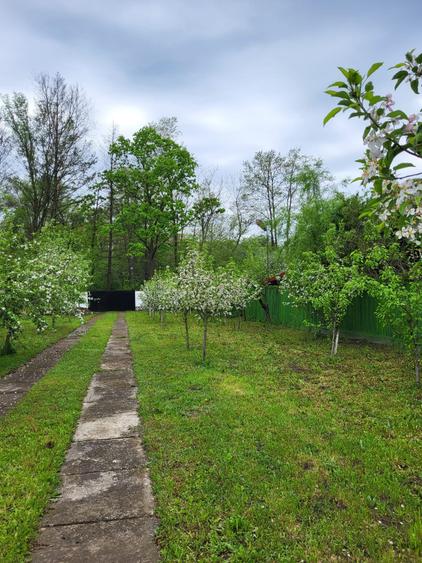 Refugiul tău verde, aproape de oraș la Snagov - 2