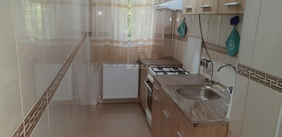 Lacul Tei, Maica Domnului, Domino, Parcul Circului