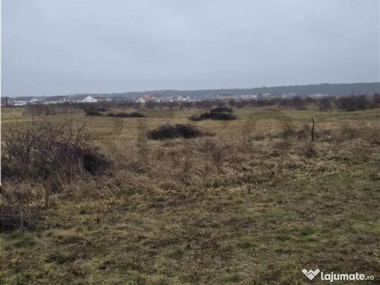 RECO teren extravilan Oradea zona Grigorescu - 4