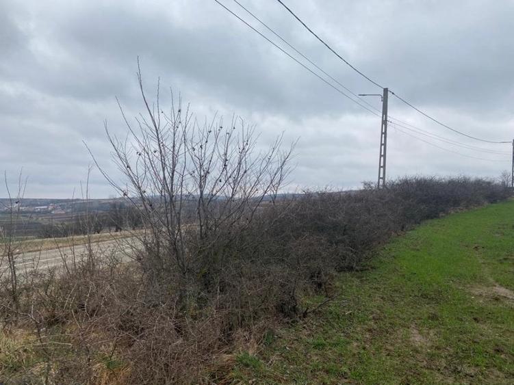 Comision 0%! Panorama superba, intravilan, 7631mp, front stradal 87m - 6