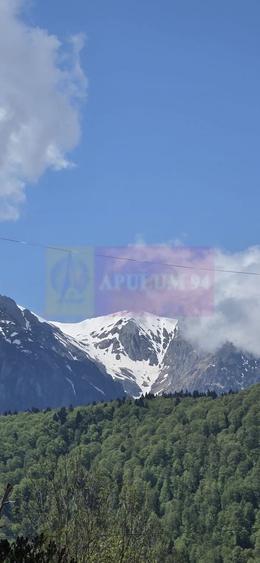 Apartament cu 2 camere de vanzare in Azuga - 14