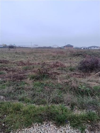 RECO Teren intravilan in Cihei - 2