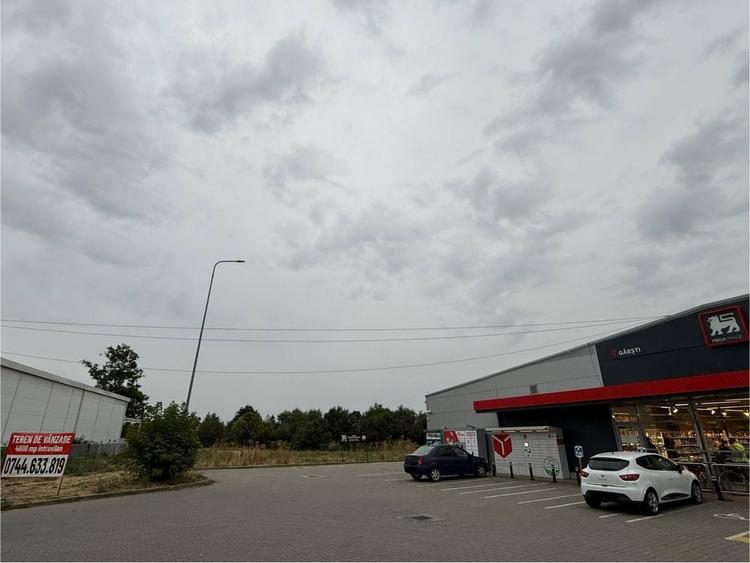 Teren intravilan de vanzare 4805 mp - 6