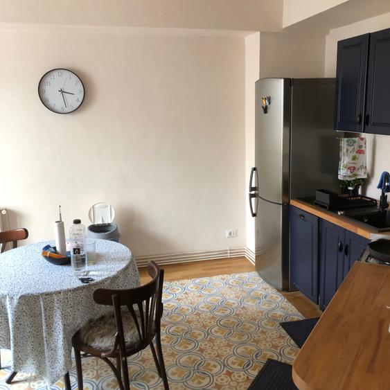 apartament ultracentral , strada Napoca, complet reabilitat si finisat de vanzare - 8
