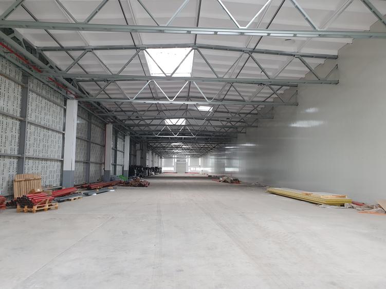 Hala 1200 mp, 4,50 e/mp - 2