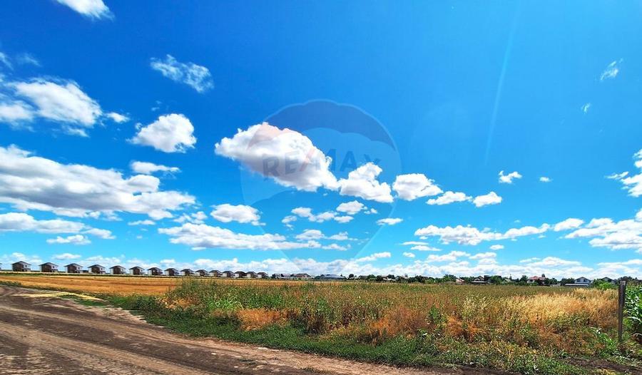 Teren Focsanei / DN sat Focsanei Vadu Pasii - 4