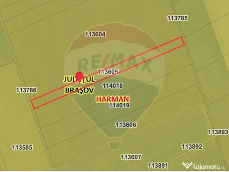 Comision 0%| Teren extravilan UAT Harman - 3