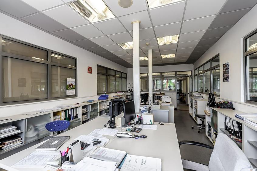 Oportunitate: Hală de producție și depozitare cu birouri în Arad - 6