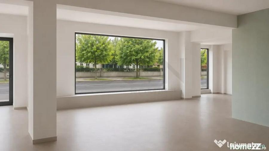 Spațiu comercial, de 100 mp, în Iancu Nicolae