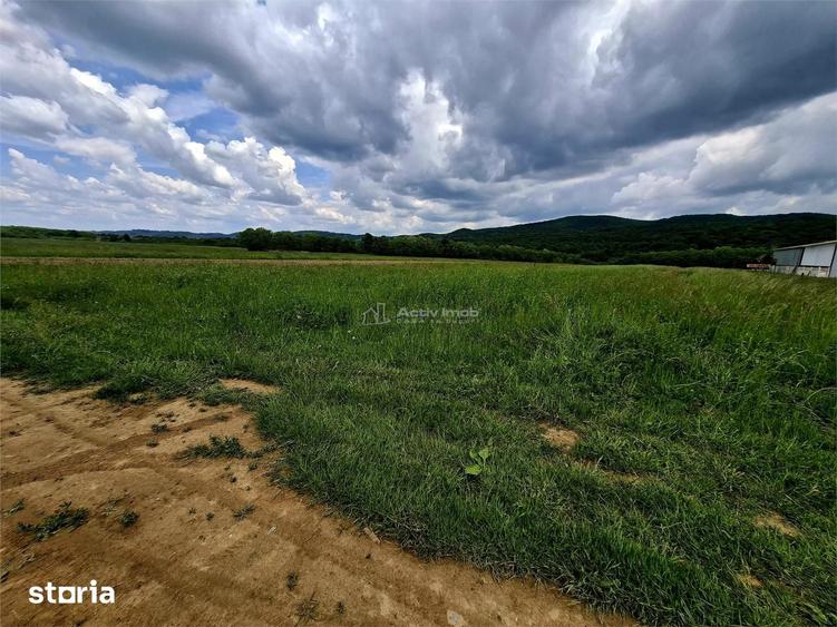 Teren de 500 mp, în Central