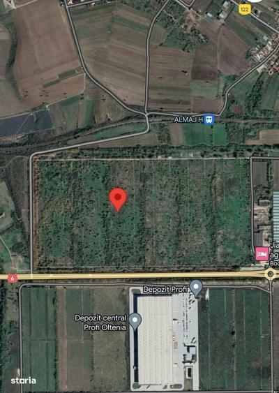 Teren de 200000 mp, în Almăj