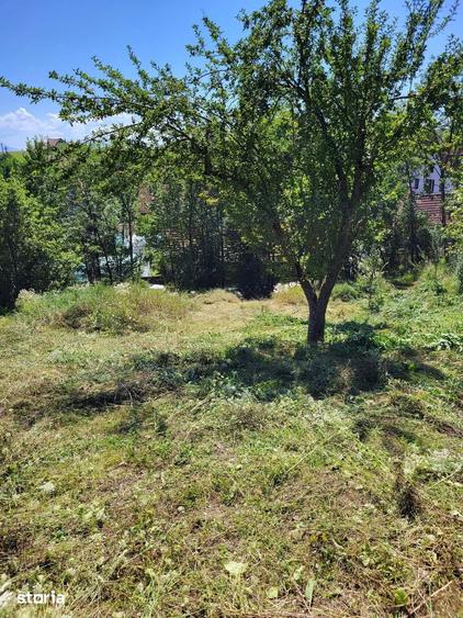 Teren de 1500 mp, în Ilieni