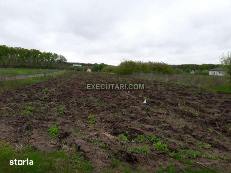 SNAGOV SAT - Teren- 2410m2 - Toate utilitatile - Zona de Vile - 6