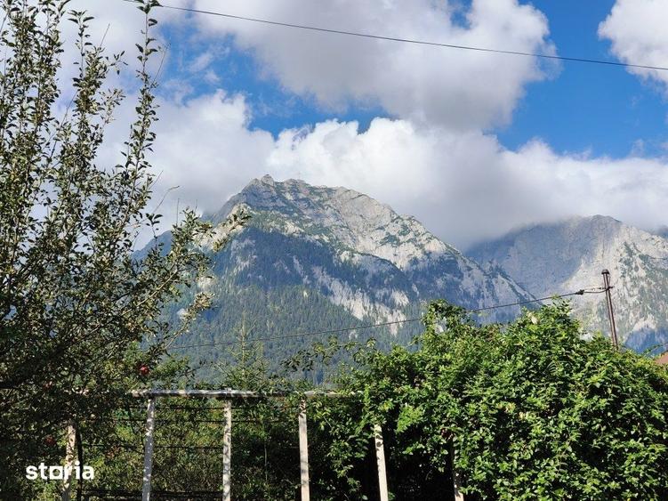 Casă cu 3 camere cu Teren 213 Mp în Central