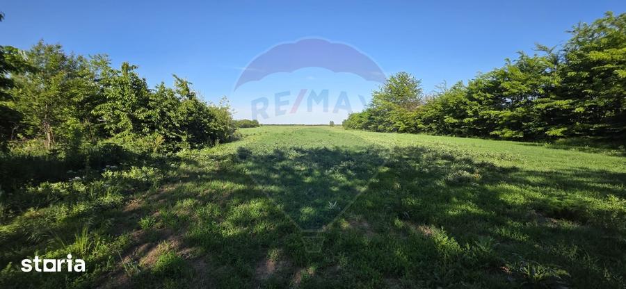 Teren de 9458 mp, în Cornești
