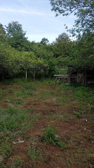 Casă cu 3 camere cu Teren 1800 Mp în Comlod