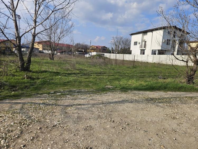 Teren 555mp in Clinceni central Mega Image - 6