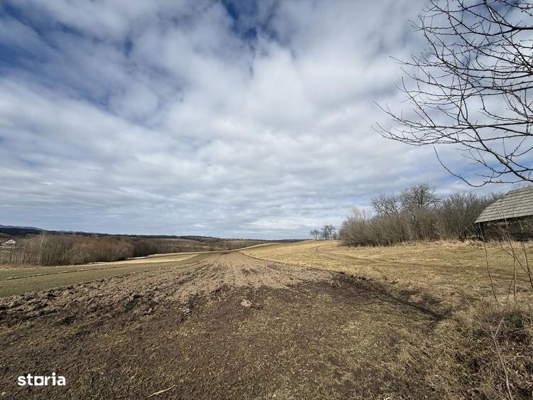 Teren intravilan | 16 ari | Horodnic de Jos zona Calugari?a - 2